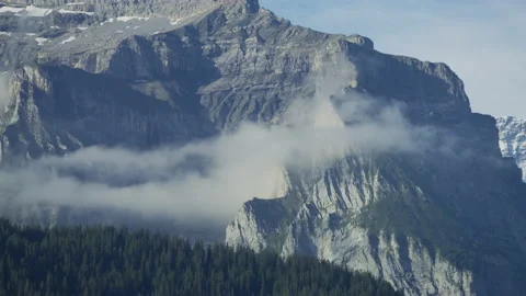 The Bernese Alps and a forest Stock Footage 219758775