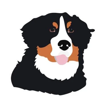 Bernese Mountain Dog Stock Illustration