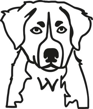 Bernese mountain head Illustrazione stock