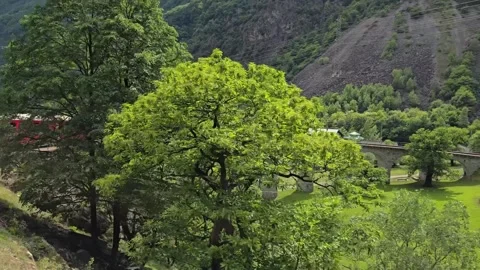 Bernina Express making a turn Видео 336718287