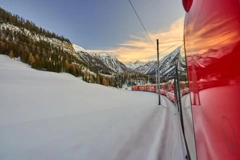 The Bernina Express Red Train through the Alps 스톡 사진