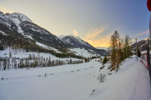 The Bernina Express Red Train through the Alps Stock Photos