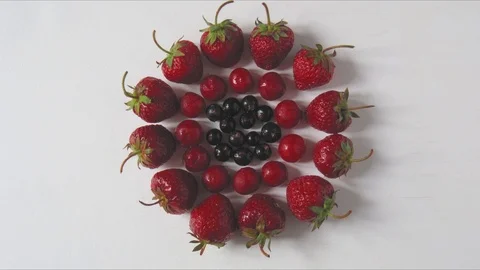 Berries appear one by one stopmotion animation Stock Footage 109177011