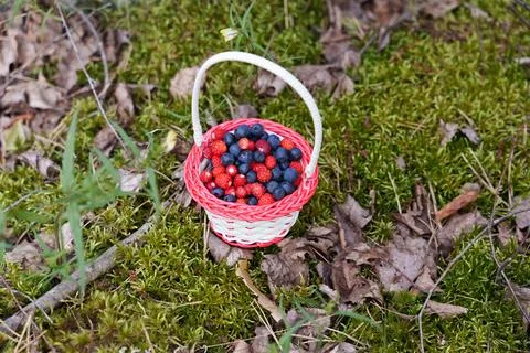 Berries in a basket Fotos Stock