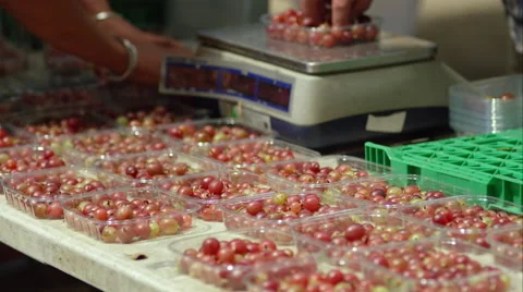 Berries being hand sorted into punnets. Stock Footage 63032373
