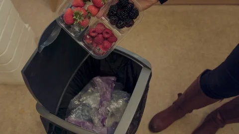 Berries In Bin Stock Footage 115254413