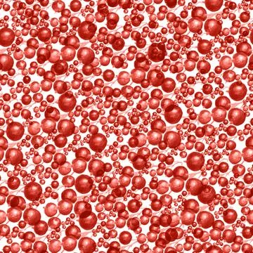 Berries of black currant Stock Illustration