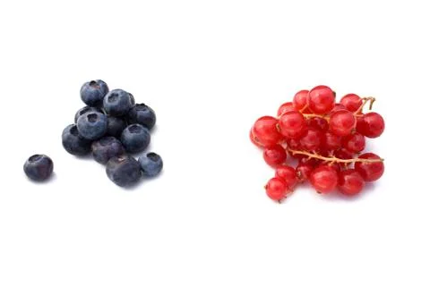 Berries: blueberries and redcurrant Фото