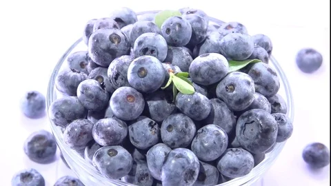 Berries blueberries. Stock-Footage 81828091
