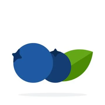 Berries blueberry side view vector flat material design isolated object on white Stock Illustration