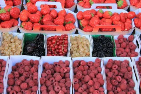 Berries in boxes Stock Photos