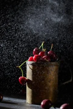 Berries of a cherry on branches in a bucket, rustic. Female hands hold branches. Stock Photos