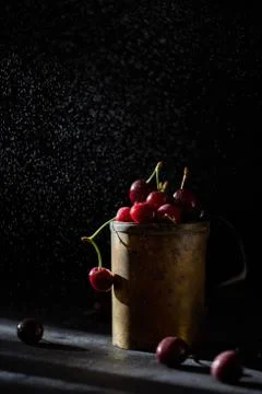 Berries of a cherry on branches in a bucket, rustic. Female hands hold branches. Stock Photos