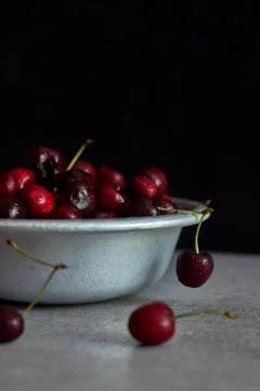 Berries of a cherry on branches in a bucket, rustic. Female hands hold branches. Stock Photos