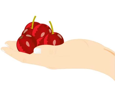 Berries cherry on palm Stock Illustration