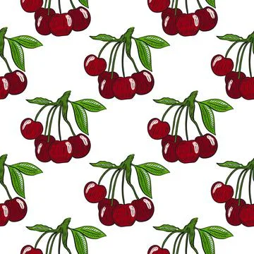 Berries cherry seamless pattern vector illustration Stock Illustration