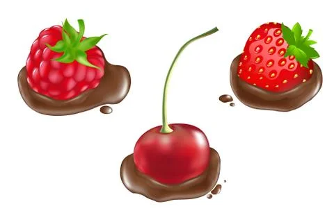 Berries in chocolate Stock Illustration