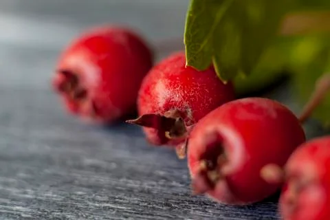 Berries in close-up macro. Wallpaper, background, desktop, cover. Stock Photos