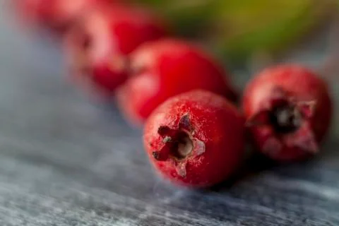 Berries in close-up macro. Wallpaper, background, desktop, cover. Stock Photos