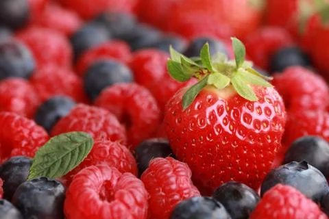 Berries with copy space Stock Photos