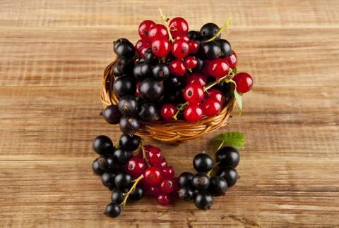 Berries currants Stock Photos