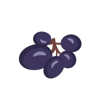 Berries of dark grapes on branch Stock Illustration