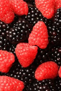 Berries dessert Stock Photos