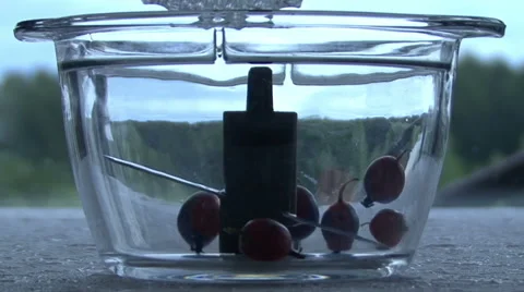 Berries fall into the blender Stock Footage 54408744