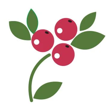 Berries flat illustration on white イラスト素材