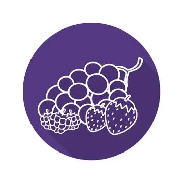 Berries flat linear long shadow icon Stock Illustration