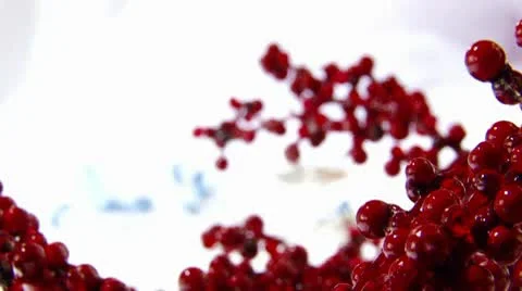 Berries Stock Footage 9234001