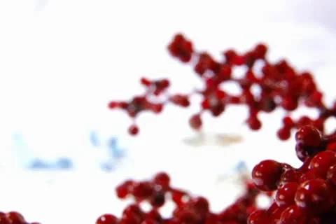 Berries Video stock 10609864