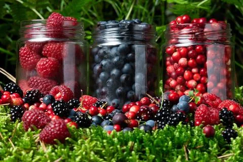 Berries fresh assorted mix overhead arrangement close up in studio on dark .. Stock Photos