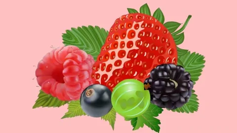 Blueberry Animation Background Stock Video Footage | Royalty Free ...
