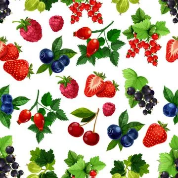 Berries fruits seamless vector pattern 스톡 일러스트