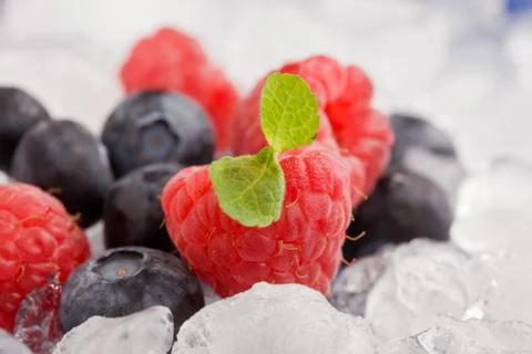 Berries on ice Stock Photos