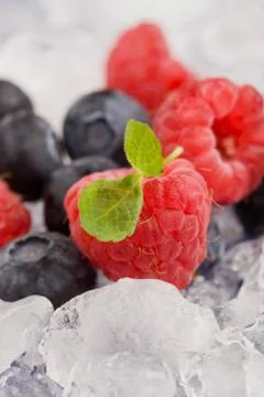 Berries on ice Stock Photos