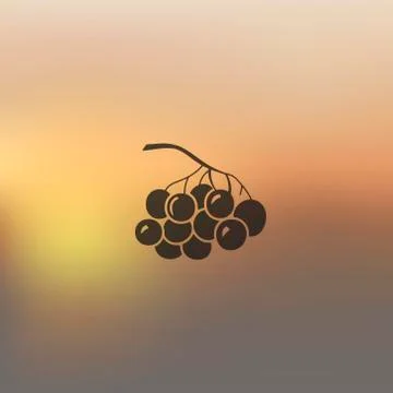 Berries icon on blurred background Stock Illustration