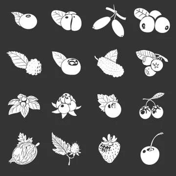 Berries icons set grey vector Stock Illustration