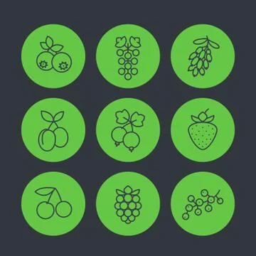 Berries icons set in linear style, raspberry, currant, blueberry, cherry, gra Stock Illustration