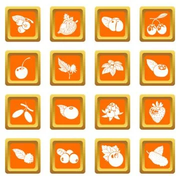 Berries icons set orange square vector Stock Illustration