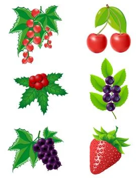 Berries Stock Illustration