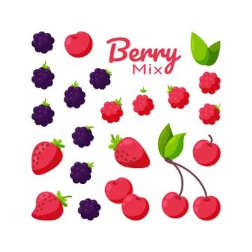 Berries isolated in white background. Fresh cherry, raspberry, blackberry and 스톡 일러스트