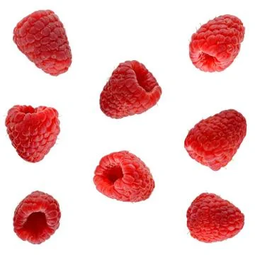 Berries isolated on white Stock Photos