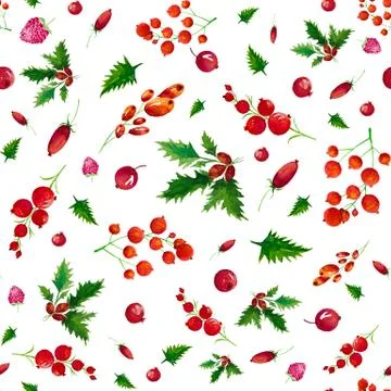 Berries isolated on white. Seamless pattern background with berries isolated Illustrazione stock