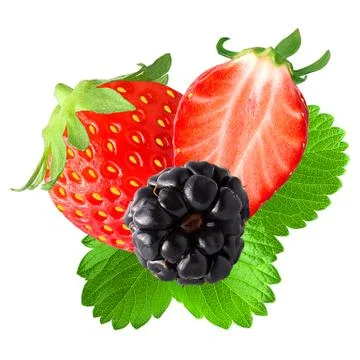 Berries with leaf isolated on white ackground Stock Photos