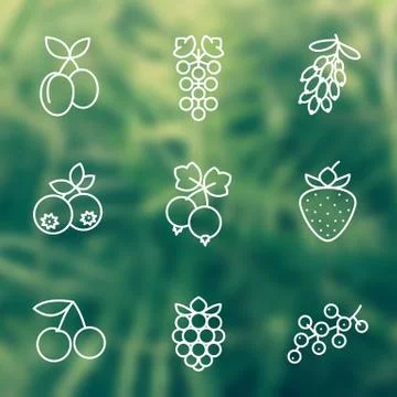 Berries line icons set, raspberry, blueberry, cherry, grape, strawberry, barb Stock Illustration