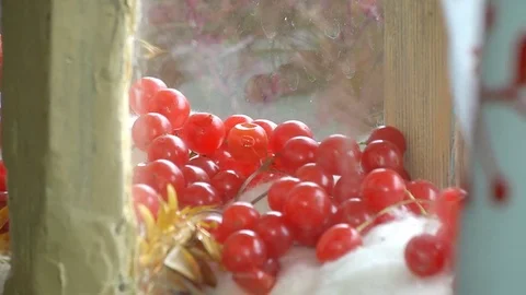 Berries Lying near the Window Stock Footage 72435743