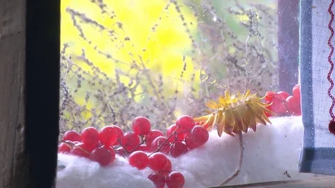 Berries Lying near the Window Stock Footage 72435768