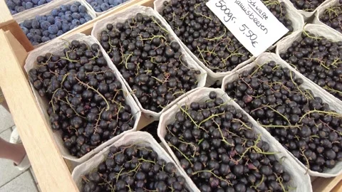 Berries on a market Stock Footage 205612188
